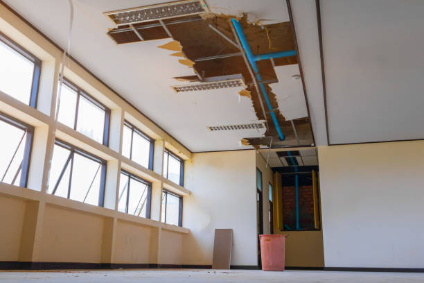 Best Water damage restoration services  in Nevada City, CA