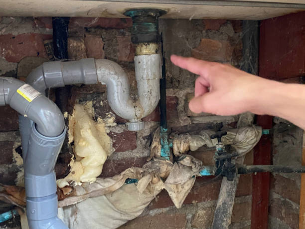Best Carpet water damage restoration  in Nevada City, CA